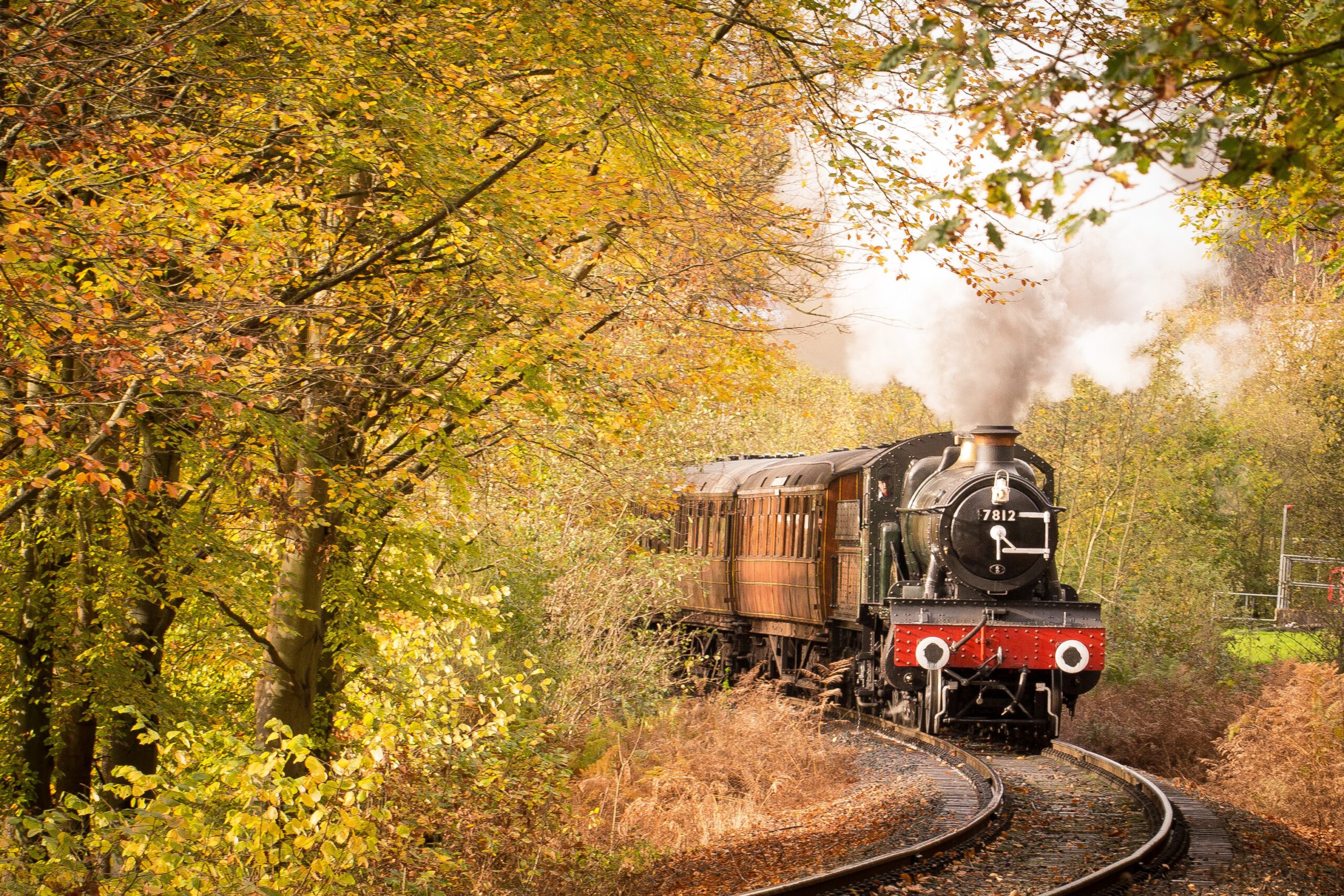 Classic steam train on a track winding through a colorful European forest, perfect for a memorable train trip or Interrail adventure